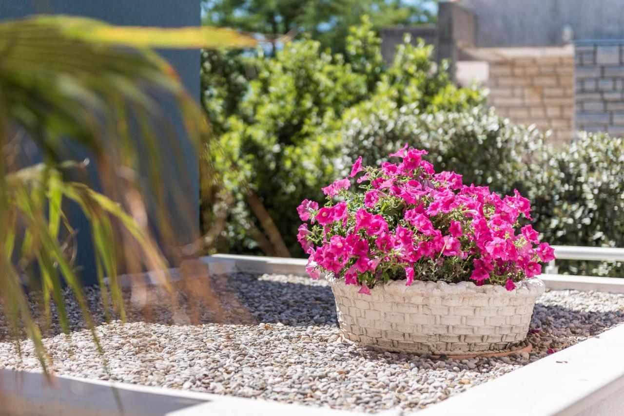 Pool Terrace Sea View Sarkic Apartamento Novalja Exterior foto